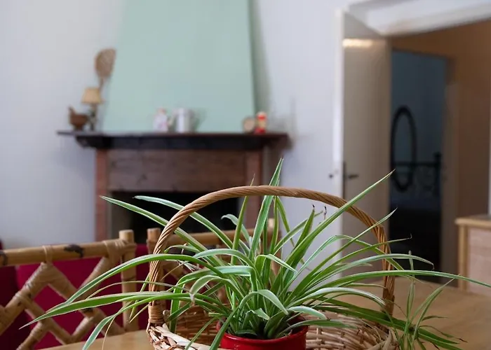 Le Di Marianna * 베토나