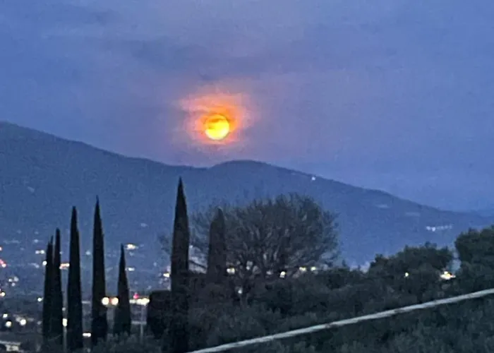 Le Di Marianna 아파트